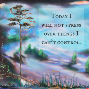 Today-I-will-not-stress-768x768