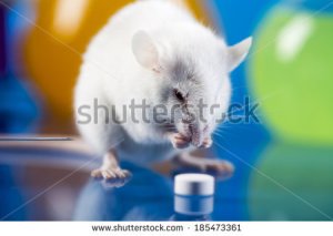mouse research